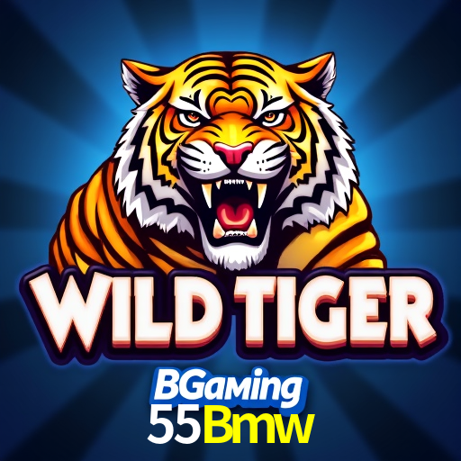  55Bmw.Com